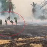 [VIDEO] ¡Qué horror! ¿intentaron quemar vivos a soldados en Cáceres?