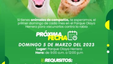Vacunación mensual canina y felina contra la rabia en el parque Olaya Herrera