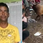 Vendedor de cerveza murió tras ser corneado por un toro en corralejas de Arjona