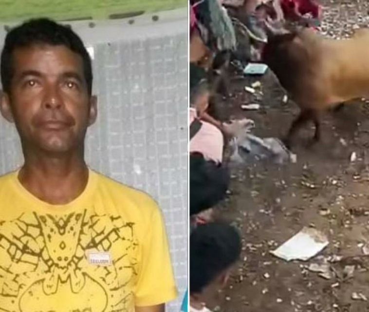 Vendedor de cerveza murió tras ser corneado por un toro en corralejas de Arjona