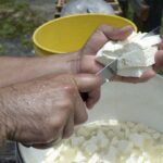 Venezuela: su plan para ser el segundo productor de queso de A. Latina