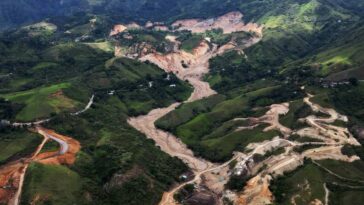 'Sentimos que nos han dejado a nuestra suerte': comunidad en Rosas, Cauca