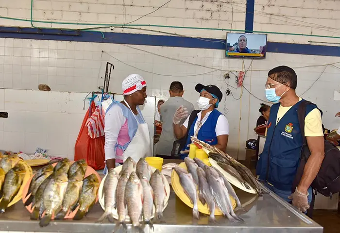 Adelantan control a expendios de pescado por la Semana Santa | Valledupar