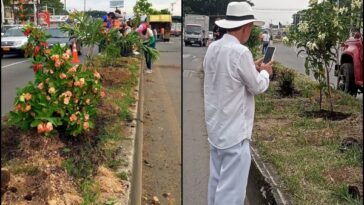 Ahora un jardín adorna el separador de la vía Cali - Jamundí, más de 300 voluntarios han ayudado a sembrarlo