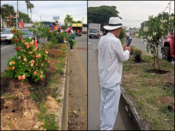 Ahora un jardín adorna el separador de la vía Cali - Jamundí, más de 300 voluntarios han ayudado a sembrarlo