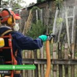Alcaldía de Montería intensifica medidas preventivas contra el dengue