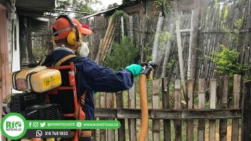 Alcaldía de Montería intensifica medidas preventivas contra el dengue