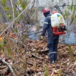 Alerta Naranja por riesgo de incendios forestales en La Guajira y Bolívar