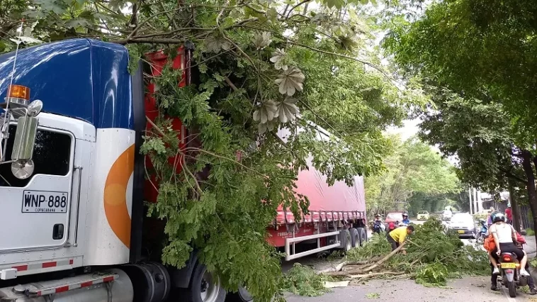Camión de carga pesada arrancó un árbol en el norte de Neiva