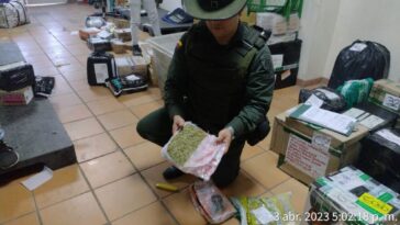 Canino Yordi detecta 700 gramos de marihuana en una bodega de paqueteo en Pamplona durante la Semana Santa Por La Vida