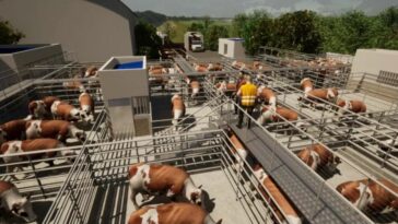 Chipaque construirá el frigorífico más grande del suroriente de Colombia