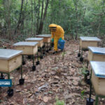 Compensaciones ambientales adelanta la Empresa de Energía de Arauca- ENELAR ESP por la ejecución de proyectos eléctricos