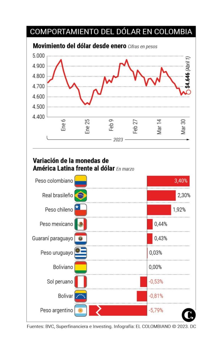 InfogrÃ¡fico