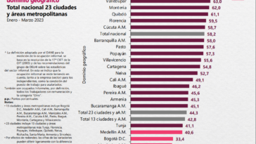 Montería 60% informalidad