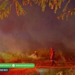El 99% de los incendios forestales en Montería son provocados