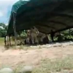 En video | “Se nos metieron al batallón”: Tiroteo entre disidencias y tropas del Ejército