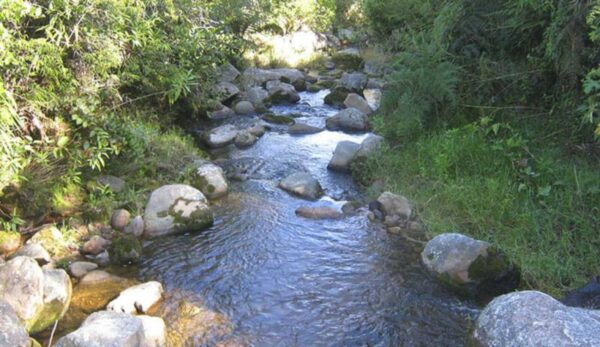 Entrega recomendaciones por posibles afectaciones en la calidad del agua