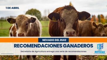 Entregan recomendaciones a ganaderos de Caldas por incremento de la actividad del Volcán Nevado del Ruiz