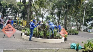 Fenalco el parque