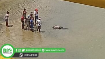 Hallan cuerpo flotando en el Rio Sinú