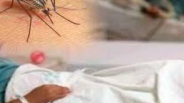 Imputaron cargos a tres médicos y una enfermera por dejar morir a un paciente con dengue en Ibagué