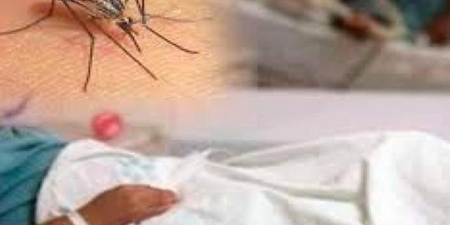 Imputaron cargos a tres médicos y una enfermera por dejar morir a un paciente con dengue en Ibagué