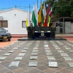 Incautan 50 kilos de marihuana en la vía Neiva-Palermo