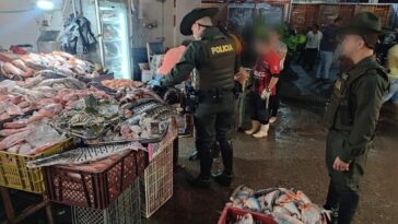 La Policía Ambiental de Cúcuta ha llevado a cabo una importante labor en la Central de Abastos de la ciudad, con la incautación de 25 kilogramos de recurso hidrobiológico.
