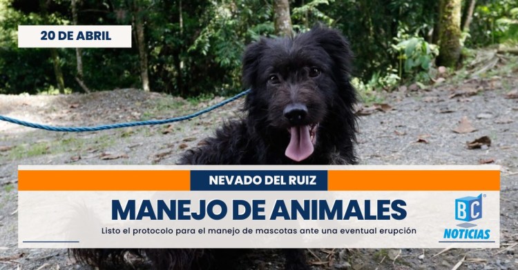 Manizales ya tiene su protocolo para el manejo de mascotas en caso de una erupción del volcán Nevado del Ruiz