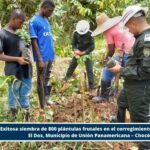 Más de 800 plántulas frutales fueron sembradas en el corregimiento de San Rafael El Dos, municipio de Unión Panamericana – Chocó
