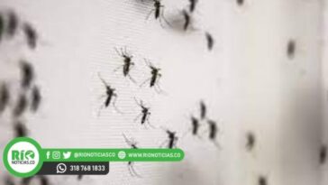 Montería enfrenta aumento alarmante en casos de dengue en la zona urbana