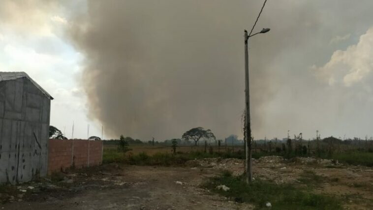 Quemas generan daño ambiental y afectan a la comunidad en la Urbanización Vallejo