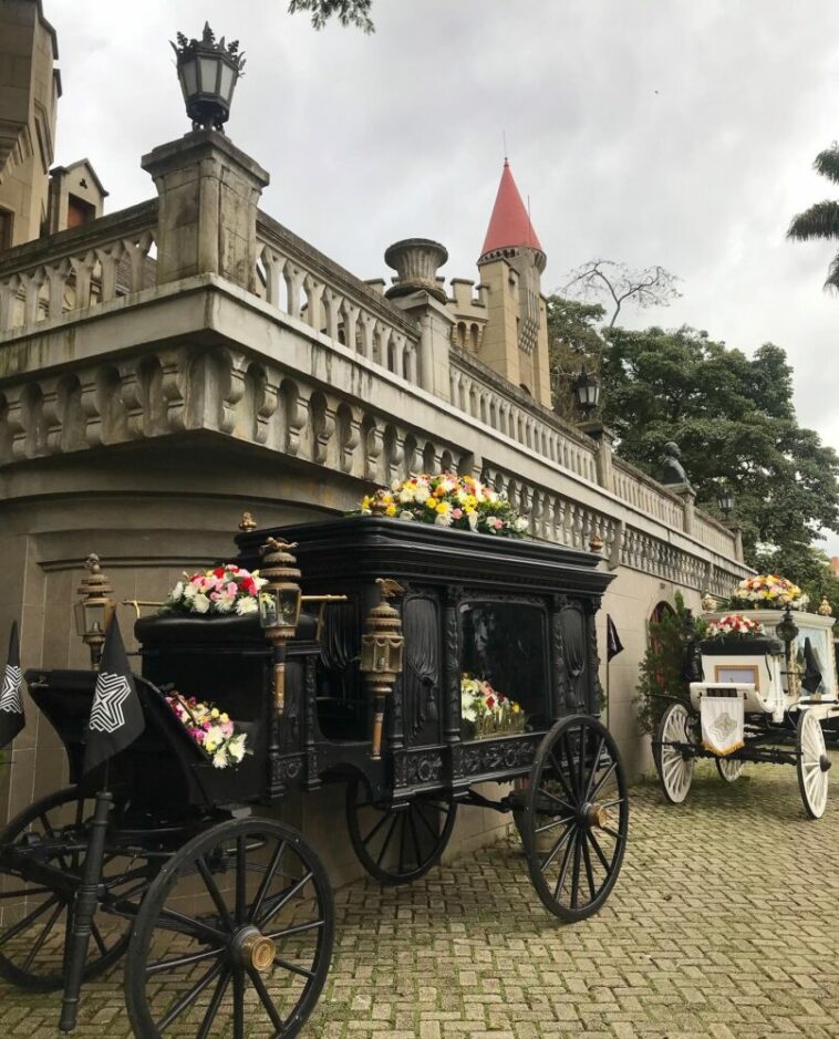 Regresa Orquídeas y Autos al Museo El Castillo, como preámbulo de la Feria de Las Flores.