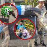 San Antero  vive el ‘Festiburro’, uno de los festivales más auténticos de Córdoba en su edición 33