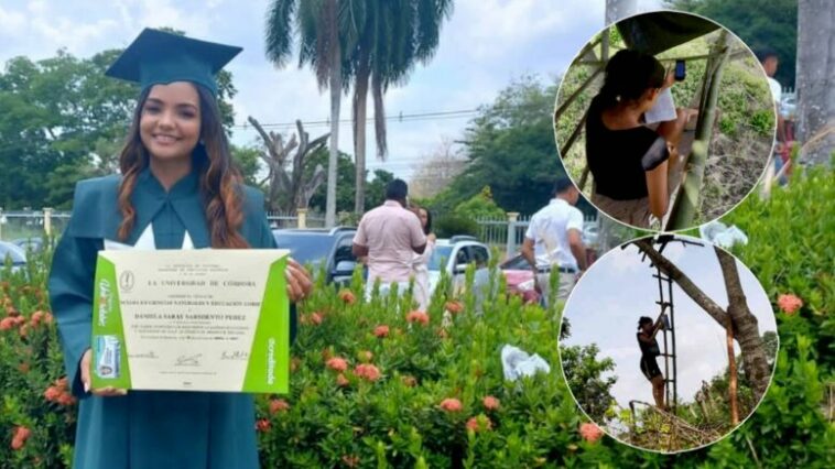 Se graduó la joven que para hacer sus tareas se subía a un árbol