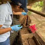 Secretaría de salud municipal invita a la comunidad a trabajar para prevenir la enfermedad del Chagas