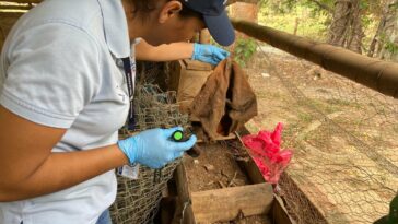 Secretaría de salud municipal invita a la comunidad a trabajar para prevenir la enfermedad del Chagas