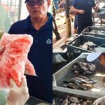 Siguen los controles de precios de pescados y mariscos en Barranquilla por la Semana Santa 