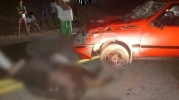 Una vaca muerta y un hombre herido tras accidente de tránsito vía a Moñitos