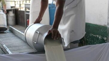 Valencia tiene su primer centro de acopio de leche fría