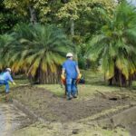 renovación de separadores