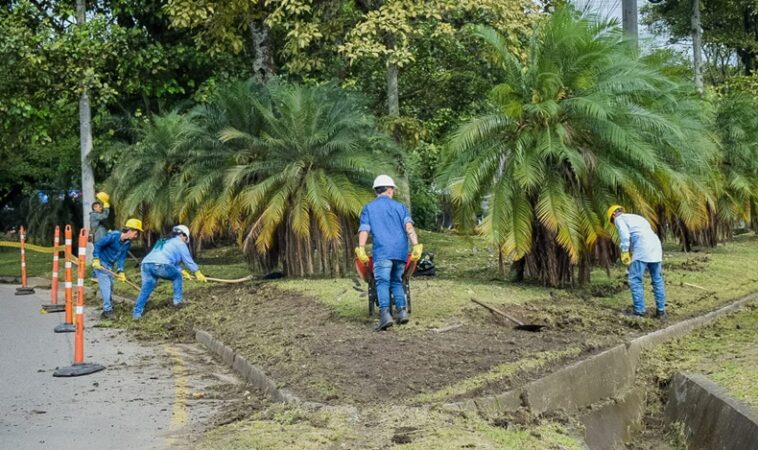 renovación de separadores