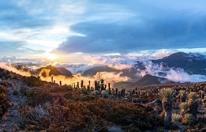 Nevado amanecer