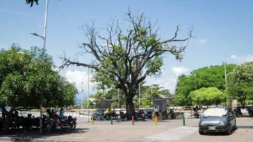 A finales de junio serán entregadas las casetas reubicadas  de la carrera quinta