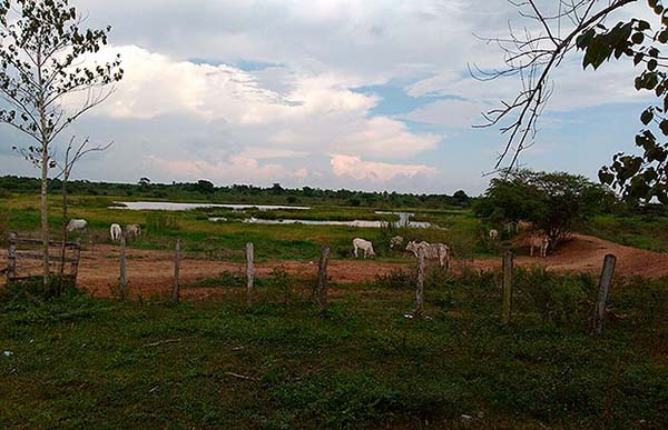 Campesinos de San Ángel solicitan al gobierno ser incluidos en programa de tierras