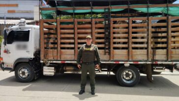 Capturados con 7 cabezas de ganado dentro de un camión.