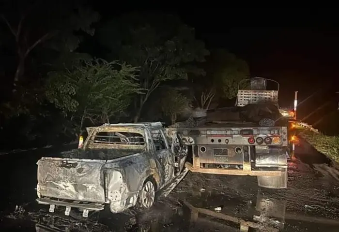 Chocó con una ‘mula’ y la camioneta se incineró