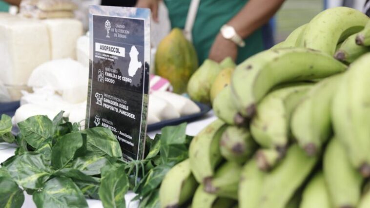 Conozca cuáles son las novedades que trae el mercado campesino