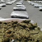 cundinamarca marihuana incautacion via Girardot Bogota 2