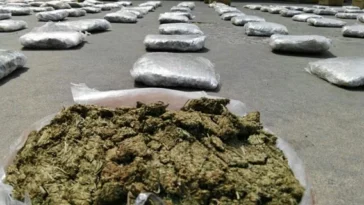 cundinamarca marihuana incautacion via Girardot Bogota 2